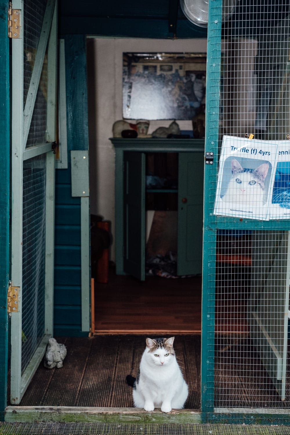 Fun Brighton wedding photography Anna and Todd