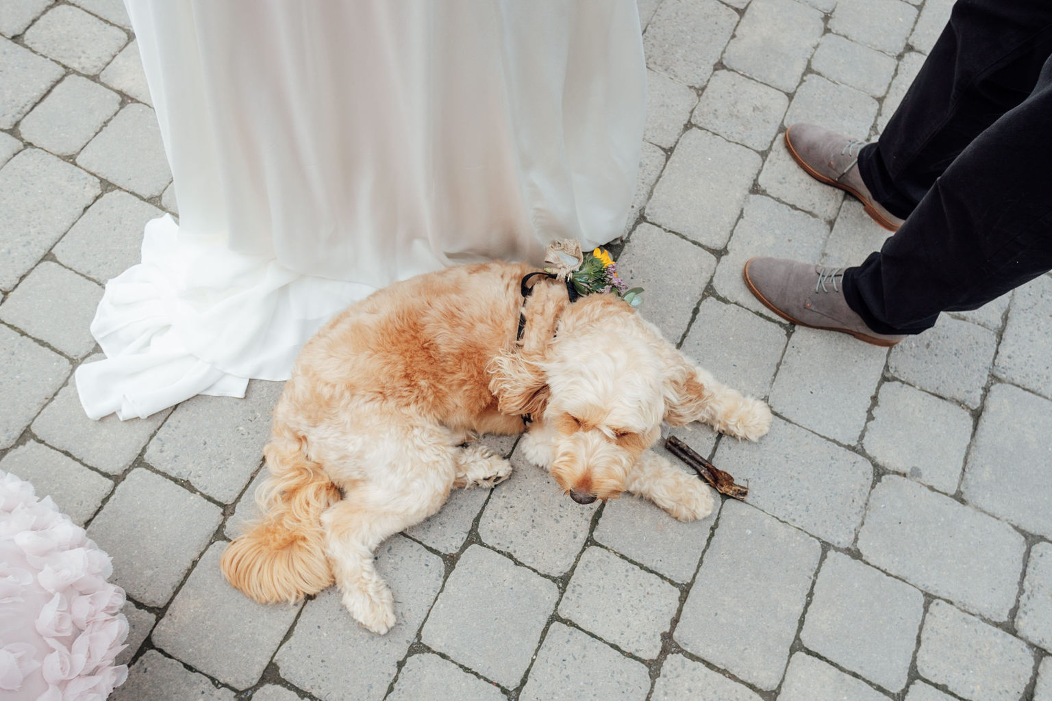 Devon Wedding // Clare + Phillip