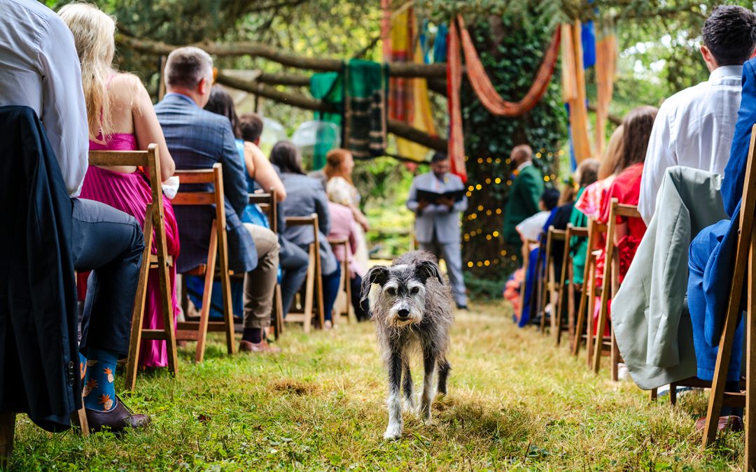 Back garden woodland wedding with tipis and dogs