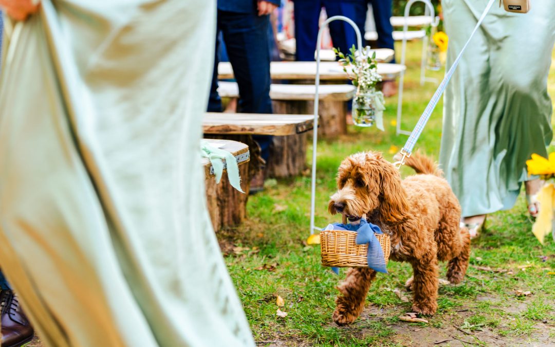 A Fun-Filled Summer Wedding at Bore Place, Chiddingstone, Kent (with a puppy ringbearer!)